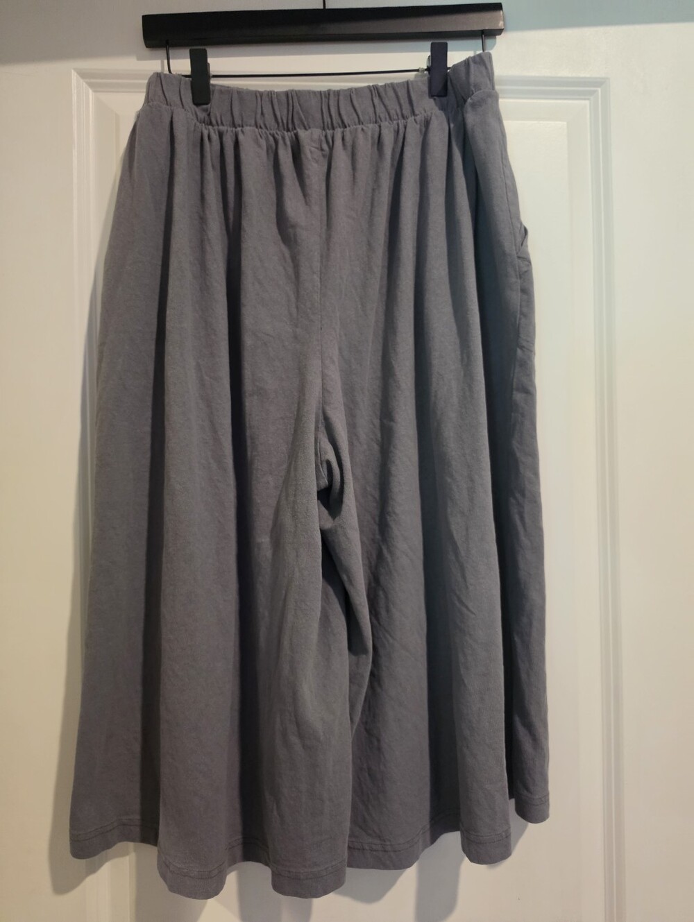 Free People Gaucho Style Pants